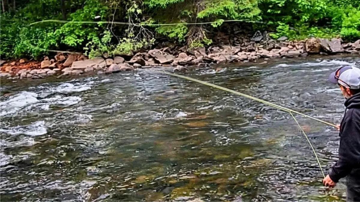 Soie de pêche à la mouche déroulée au-dessus d'une rivière en action de lancer