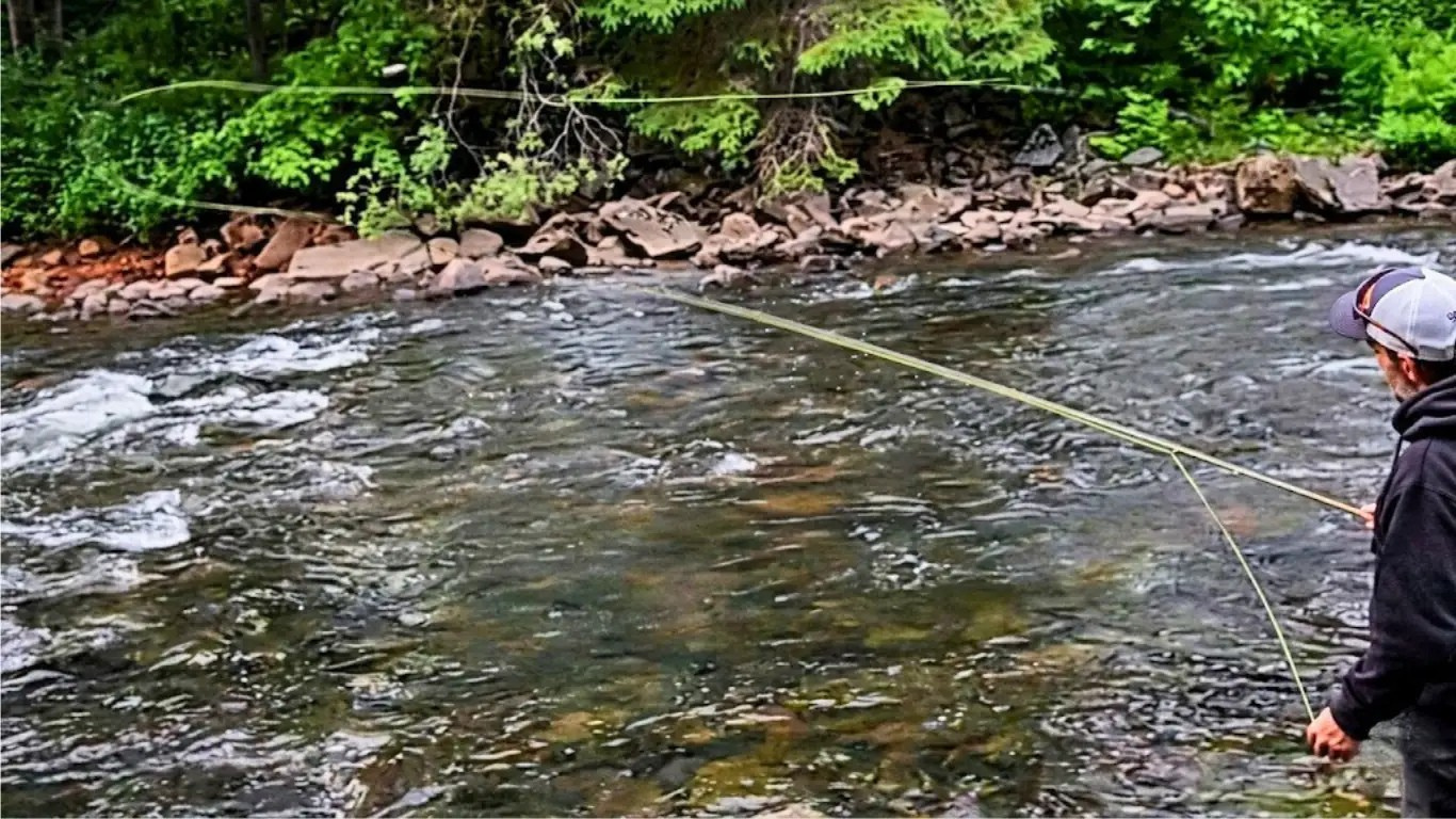 Pêcheur à la mouche en action sur une rivière au Québec, soie WF en extension dans les airs