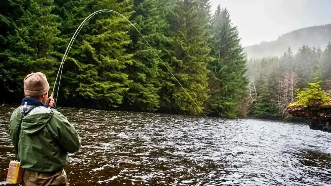 Pêcheur à la mouche en rivière avec canne courbée sous  la tension d'un poisson, illustrant l'importance du  backing lors d'un combat