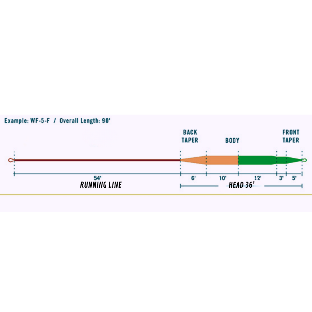 Diagramme technique illustrant le profil de la soie Axon Perception avec son système tricolore (vert, orange, brun), ses boucles soudées et sa technologie d'âme Direct-Transfer à faible élongation.longeur de tête et profil