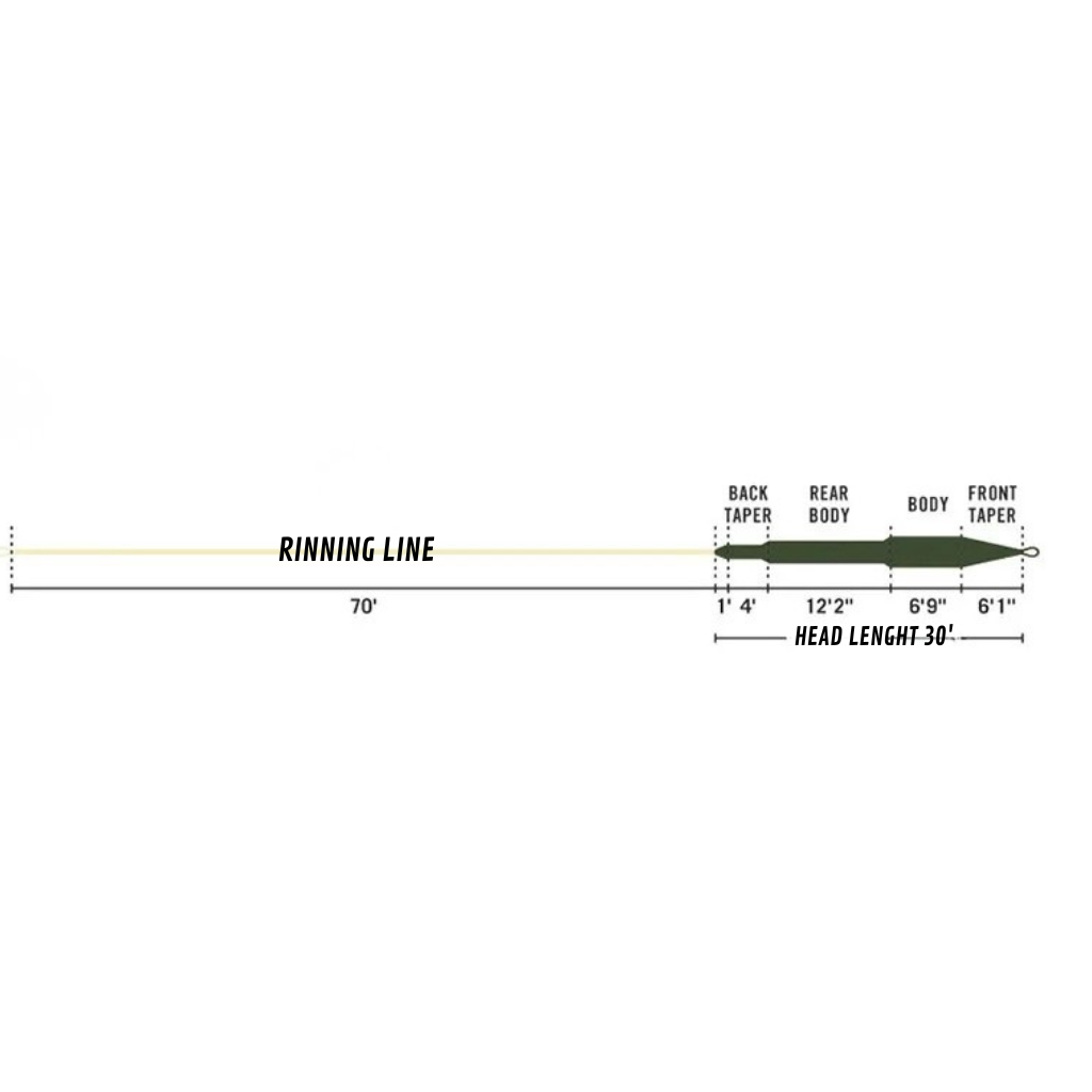 Diagramme technique du profil aérodynamique de la soie Axon Outbound Short, illustrant une tête de lancer agressive de 30 pieds et une ligne de tir (running line) de 70 pieds.