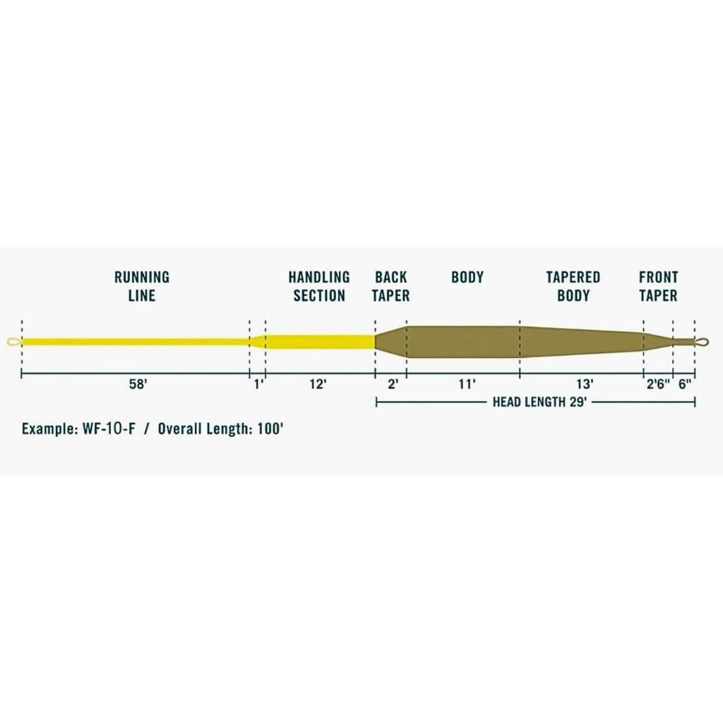 Un diagramme technique détaillé intitulé "IMPULSE WF-10-F" de la marque "AXON", illustrant le profil de conicité (taper) d'une soie de pêche à la mouche bicolore. Le schéma montre la section courante (Running Line) jaune de 71 pieds et la tête (Tête) kaki/gris de 29 pieds, pour une longueur totale de 100 pieds. Un "Changement de couleur" est indiqué à la jonction. La tête comprend des mesures spécifiques pour le belly (17'), le back taper (4'), le body (10'), le taper (8'), le front taper (4') et le tip (0.
