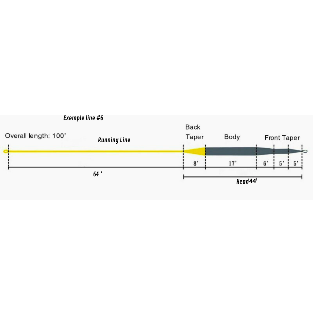 Un diagramme de spécifications techniques détaillé de la soie de pêche à la mouche Axon Windcutter (Exemple #6). Le schéma montre un profil de conicité bicolore : une ligne de course (Running Line) jaune vif de 64 pieds se terminant à un changement de couleur, et une tête de lancer (Head) de 36 pieds de couleur vert olive. La tête est divisée en sections de dimensions précises : un 'Tip' de 5 pieds, un 'Front Taper' de 5 pieds, un 'Taper' de 3 pieds, un 'Front Taper' de 3 pieds, un 'Body' de 17 pieds et un 
